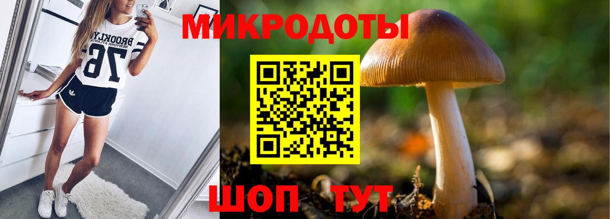 Псилоцибиновые грибы прущие грибы  Вход с VPN  Псилоцибиновые грибы мицелий  наркотики  Старая Русса 