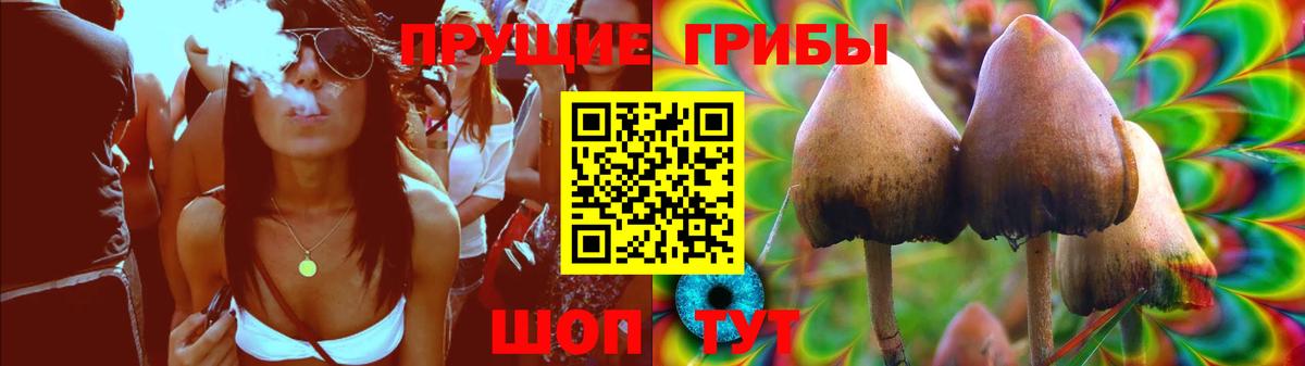 Псилоцибиновые грибы мухоморы Старая Русса